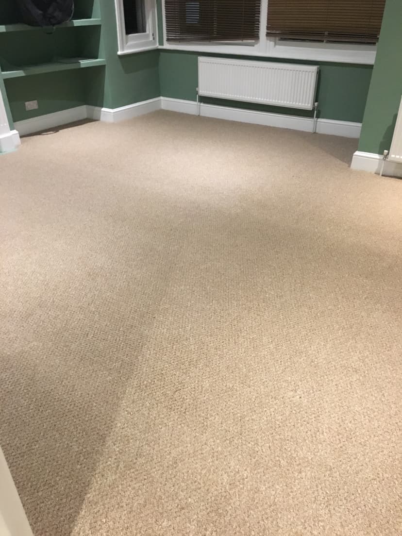 Hard Wearing Carpet for Rental Property - Image 3