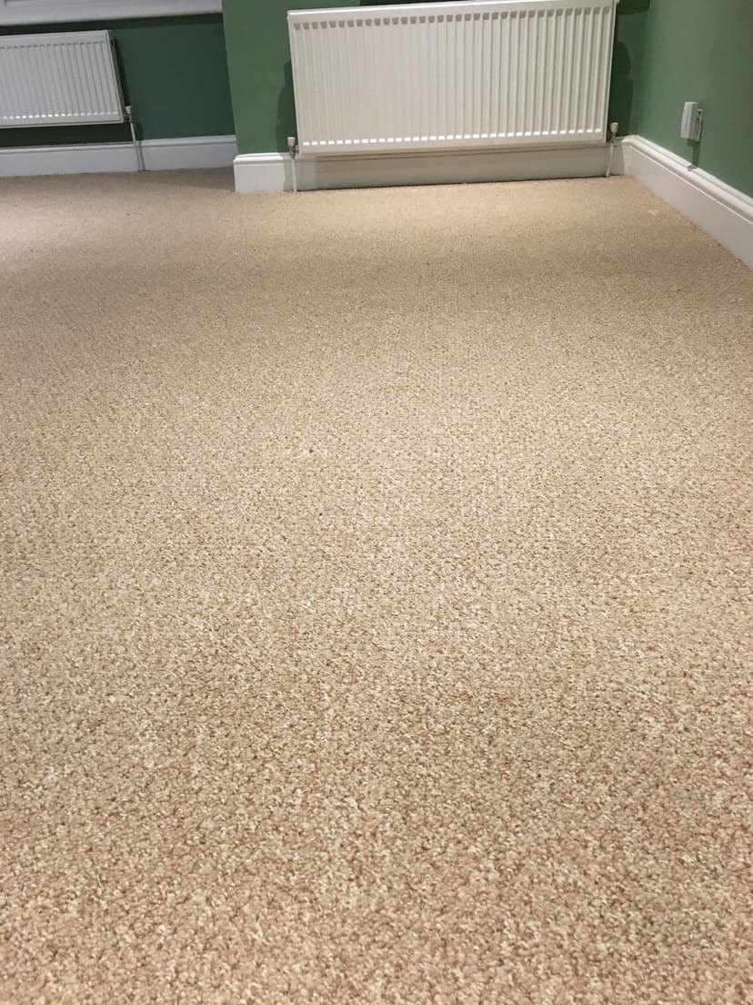 Hard Wearing Carpet for Rental Property - Image 4